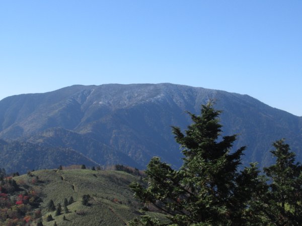 登山道